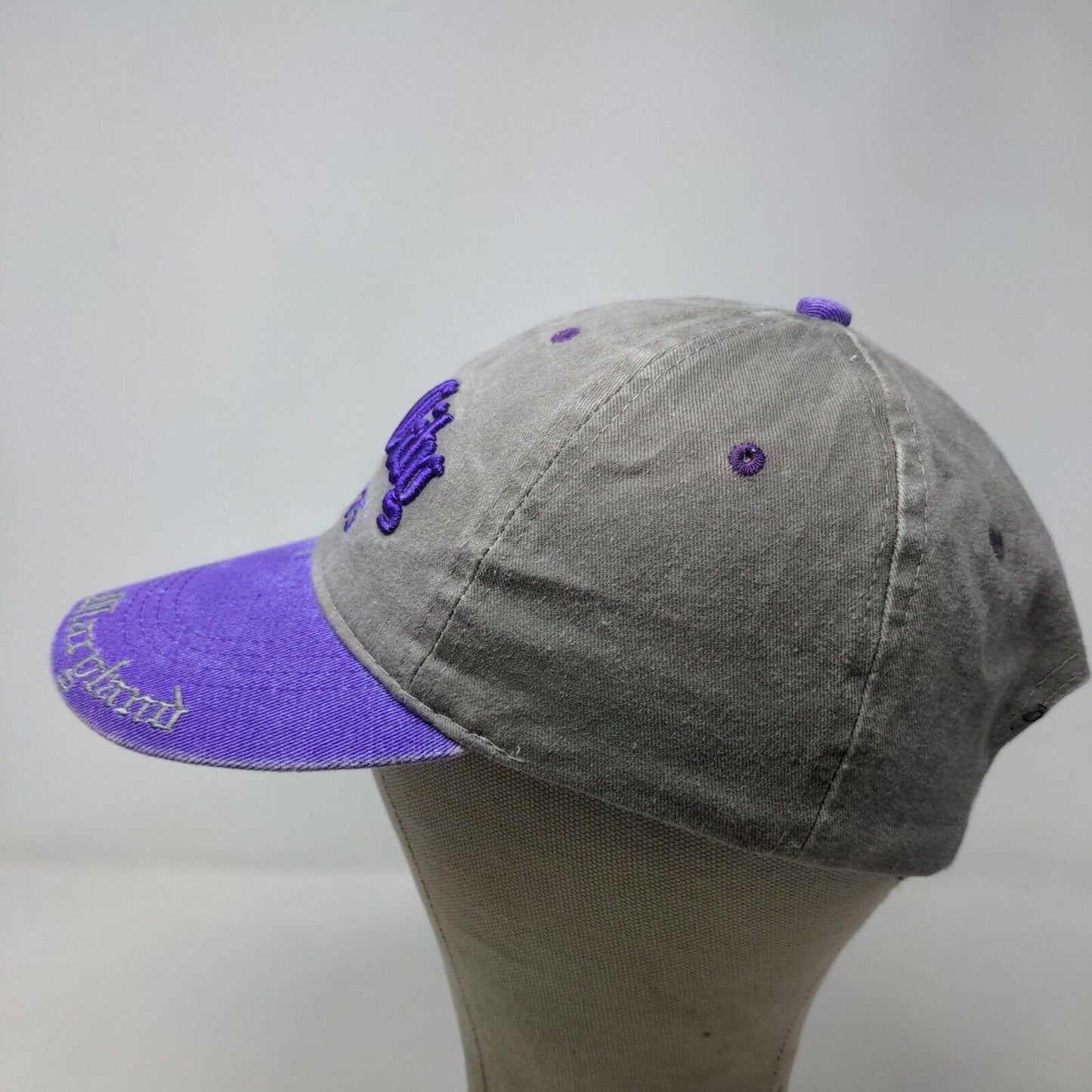 Lucky 7 USA Men's Ocean City Strapback Hat Gray Purple Embroidered Logo Maryland