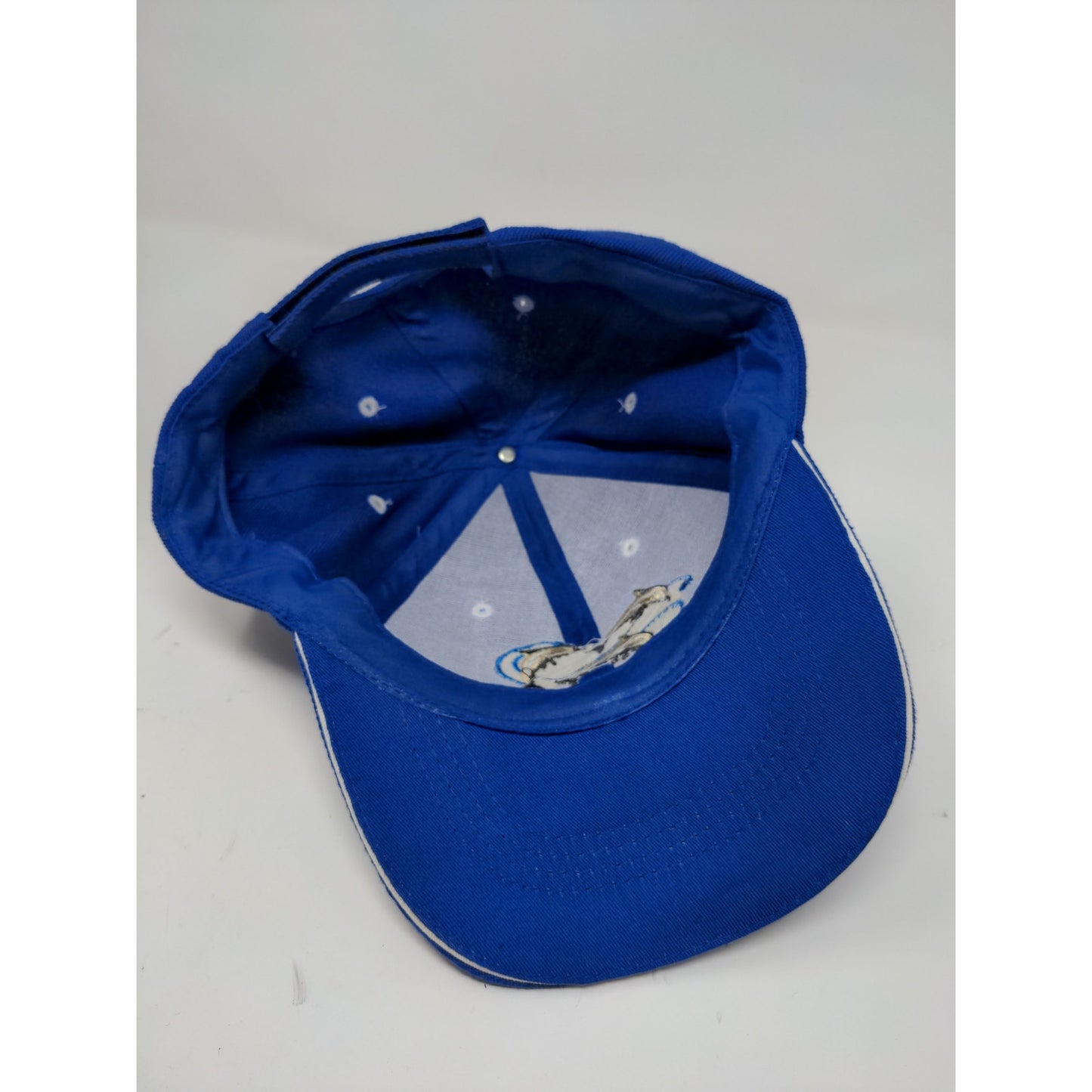 Cabo San Lucas Baja Mexico Strapback Hat Embroidered Dolphins Blue