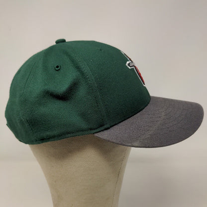 47 Brand Men's Minor League MLB Fort Wayne Tincaps Hat Green One Size Logo