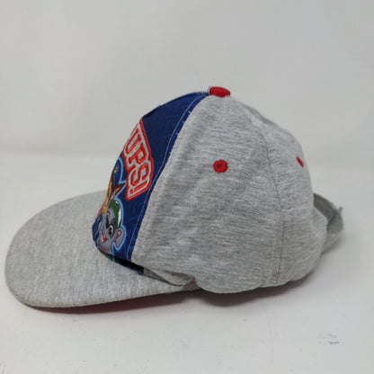 Nickelodeon Paw Patrol Boy's Strapback Hat Gray Size OS Embroidered Logo