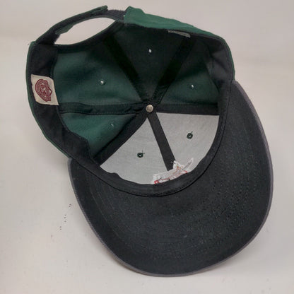 47 Brand Men's Minor League MLB Fort Wayne Tincaps Hat Green One Size Logo