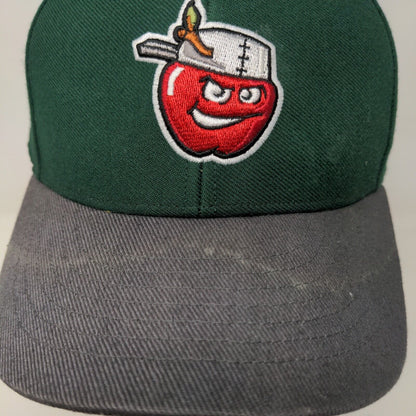 47 Brand Men's Minor League MLB Fort Wayne Tincaps Hat Green One Size Logo