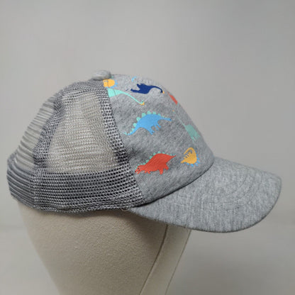 Unbranded Boy's Snapback Hat Gray Mesh Back Dinosaurs Graphic
