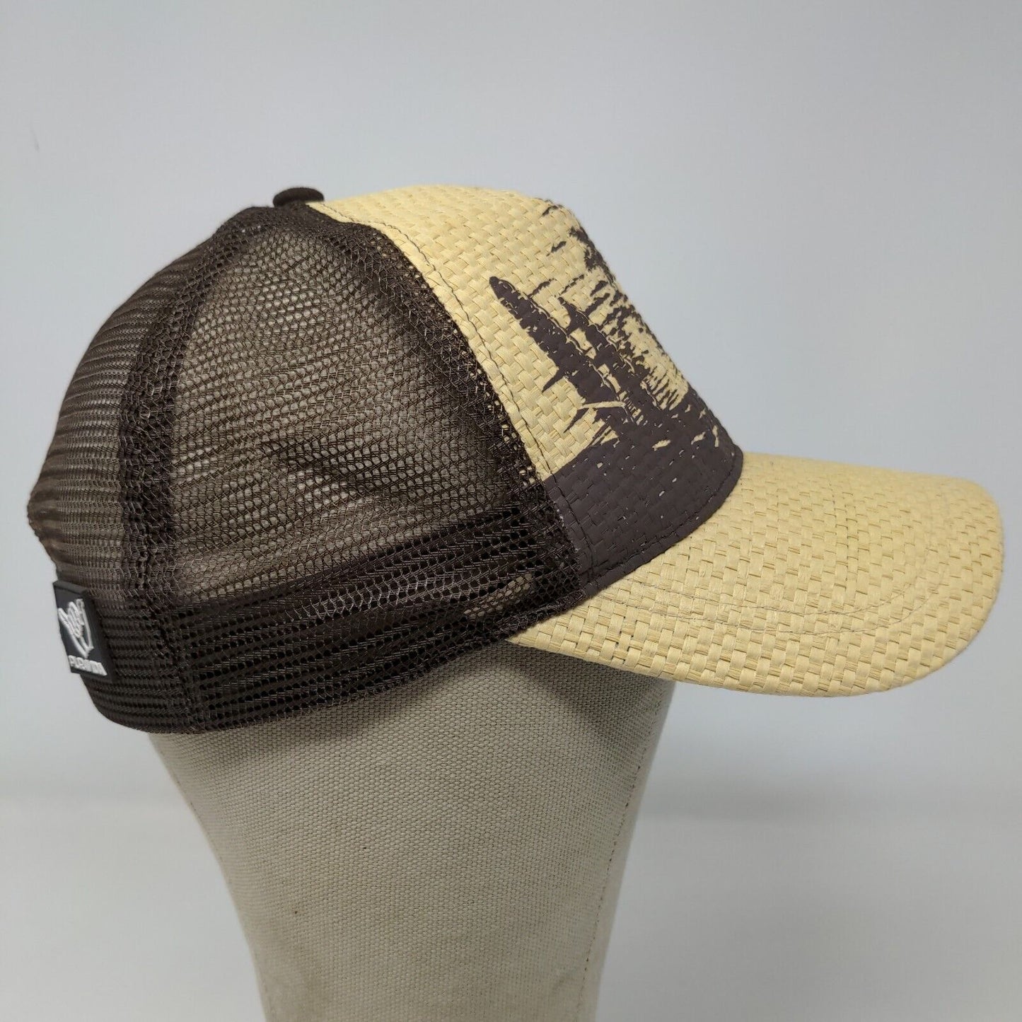 Costa Rica Men's Mesh Back Snapback Hat Brown Tan Straw Beach Graphic