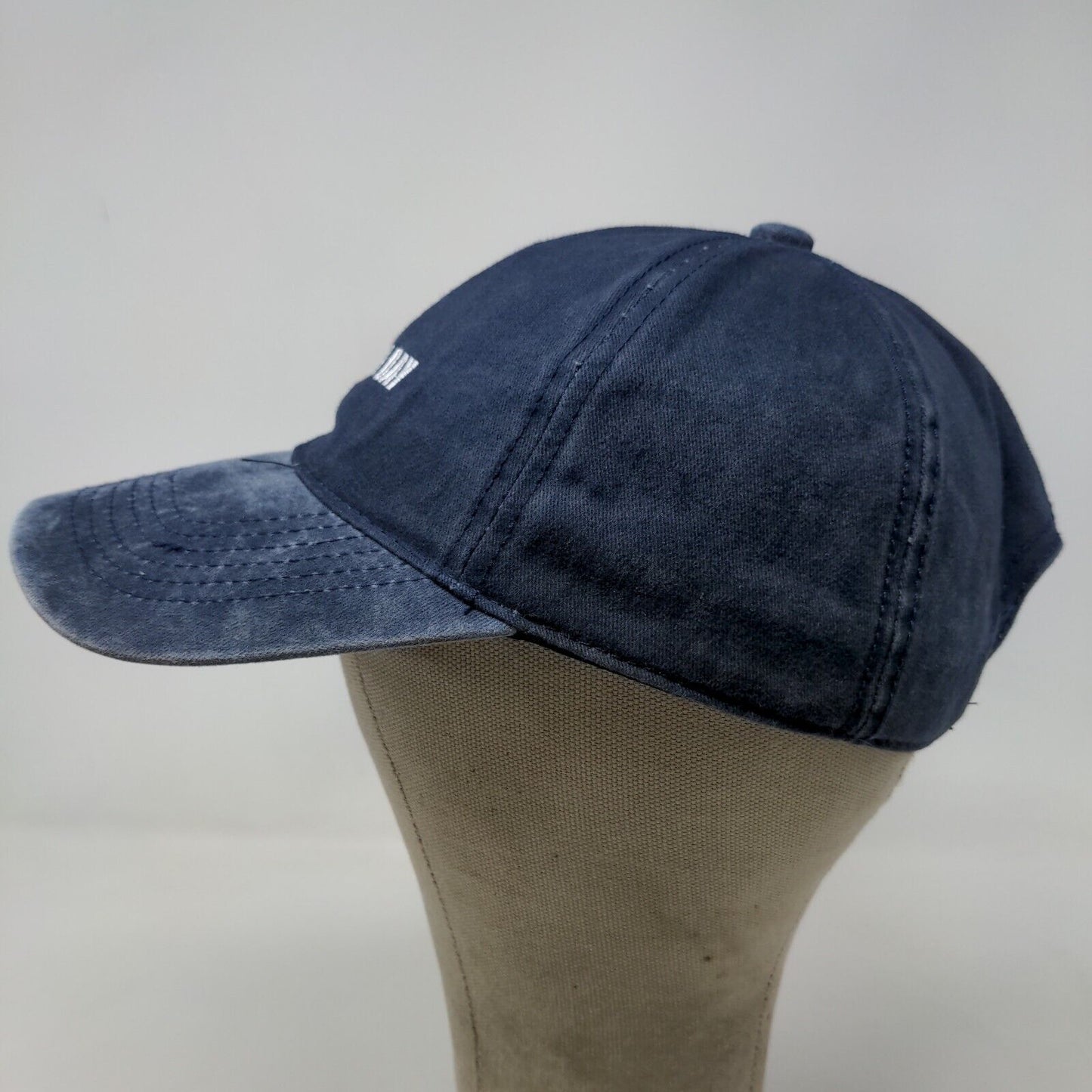 David and Young Men's Slideback Hat Blue OSFM Bad Hair Day Embroidered Logo