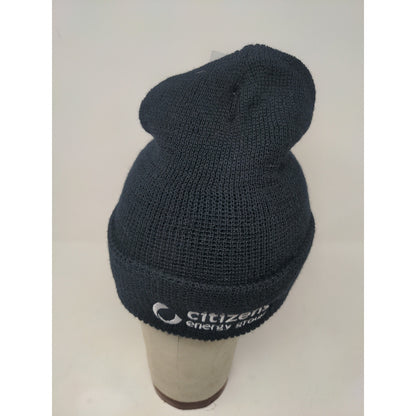 Citizens Energy Group US Department of Defense 100% Wool Hat Watch Cap Beanie