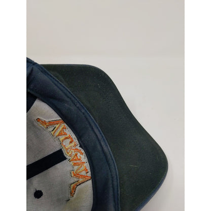 Cedar Point Valravn Rollercoaster Strapback Adjustable Hat Distressed Blue